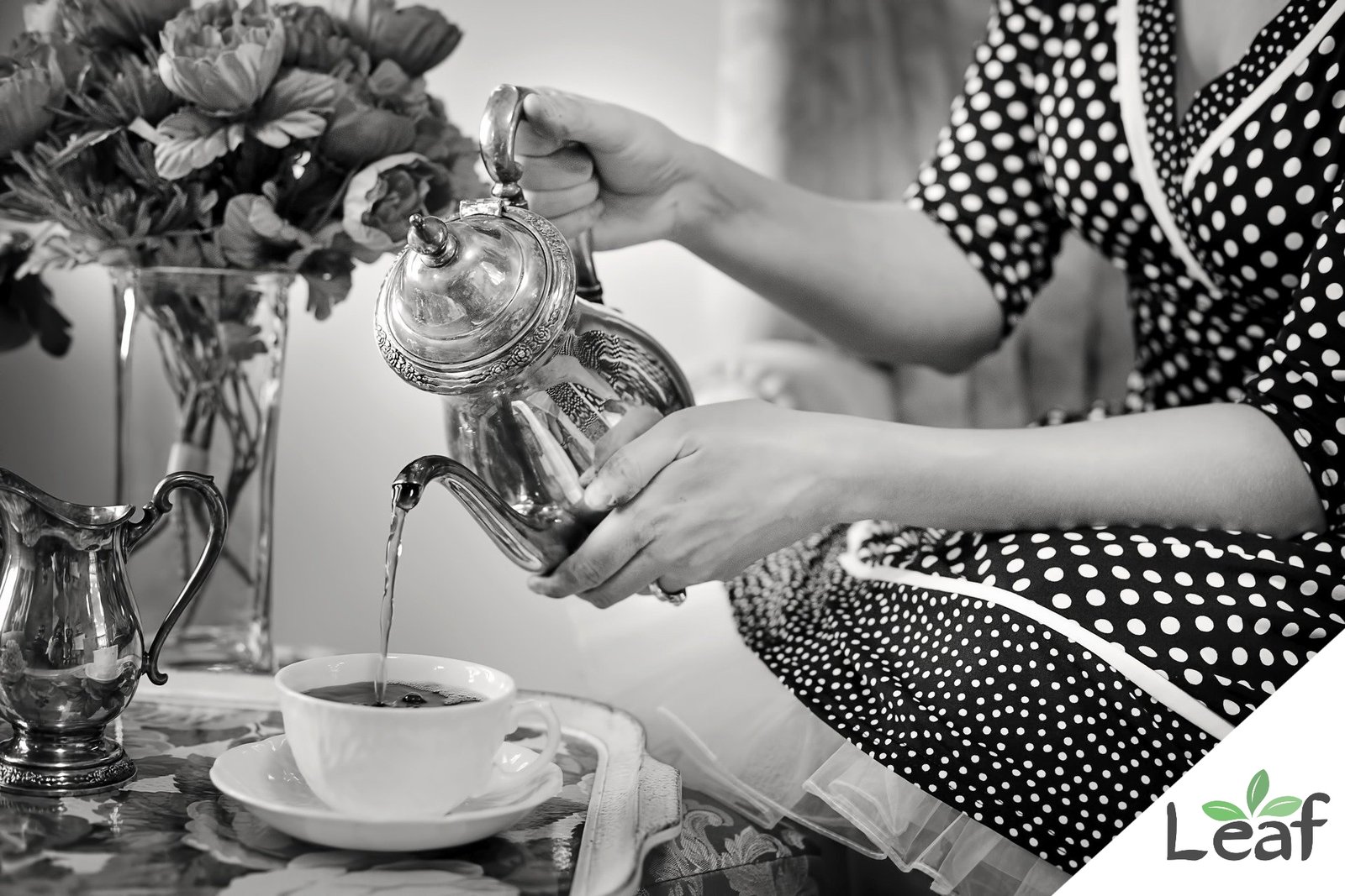 Highest Quality CBD Products